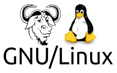 tête de gnou stylisé, mascotte du projet GNU et manchot Tux mascote de Linux